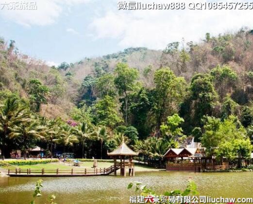 �й�ʮ������ɭ�ֹ�԰