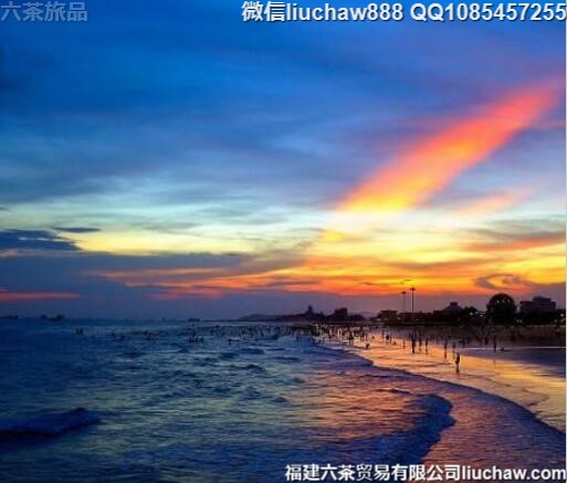 �й�ʮ�󺣱����ι���