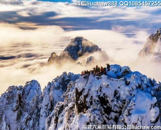 冬天不可错过的九大国内美景