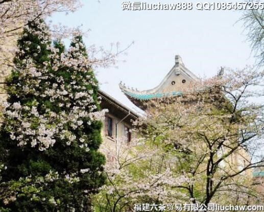 春天最美赏花胜地大盘点