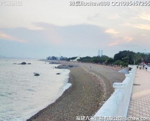 10�����ɴ�����������������