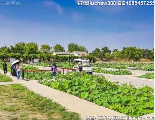 8月国内十大最佳旅游度假胜地