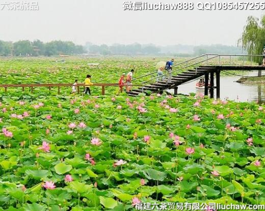 8月国内十大完美避暑胜地
