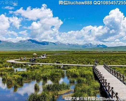 7月国内十大最不可错过的度假胜地