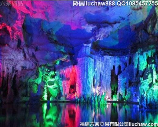 12��ʮ�����������Ե����μѵ�