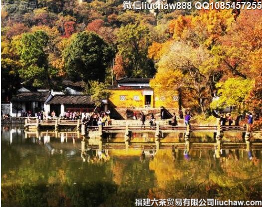 11��ʮ����ֵ��ȥ������ʤ��