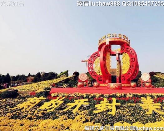 11��ʮ����޵���ĩ����������