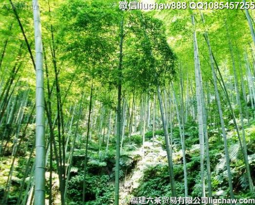 10��ʮһ�ƽ��������Ƽ�����