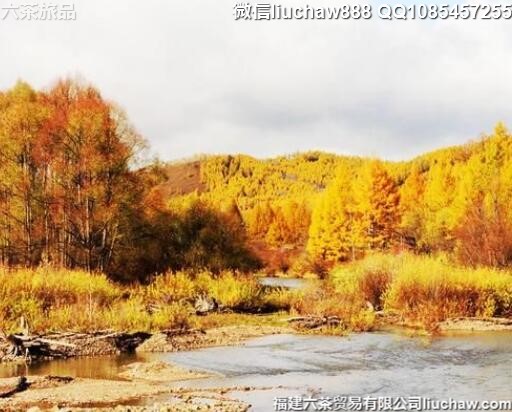 10����������Ƽ�����