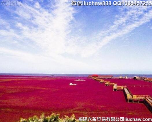 10�����ξ����Ƽ�