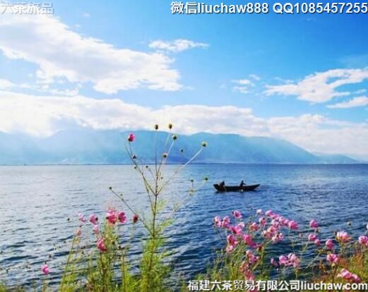 7����������Ƽ�����