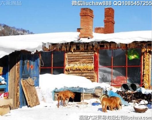 2����������Ƽ�����