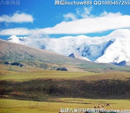 西藏徒步自驾旅游攻略