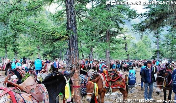 �Ĵ������Ƕ��������������ι���