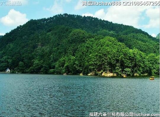 ���ݻƹ����������������ι���