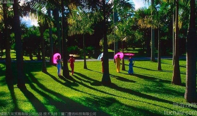 042 4A云南西双版纳热带花卉园旅游攻略