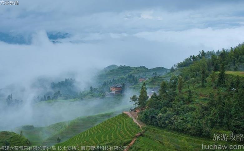 035 4A���������������ι���