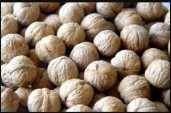 ¬������