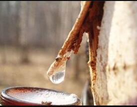 ����֭����