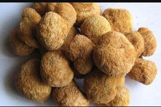 ���ֺ�ͷ��