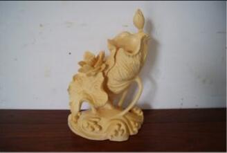 ����ľ��