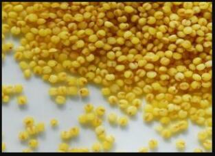 ��ʯ��С��