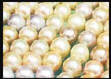 ̫������