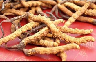 �����Ĳ�..