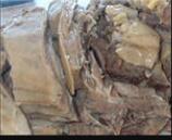 ��ץ����..