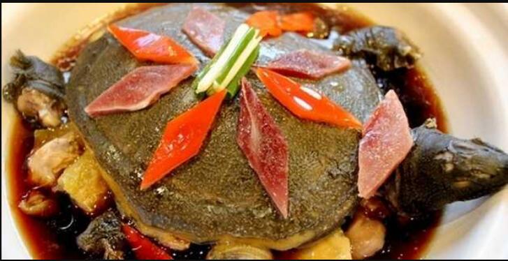 清蒸清溪甲鱼