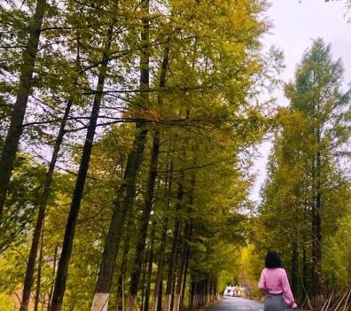 ������ĩ�Σ����续�����߽�������幫·