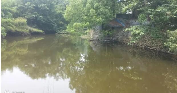 �ٰ��˰�����鵺