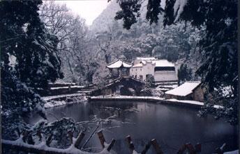 �𻪹�������