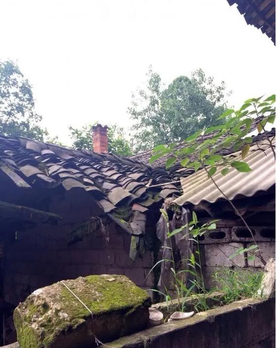 �ڽ���Ȫ����