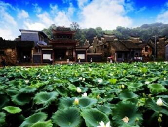 ���ݰ����Ŵ�