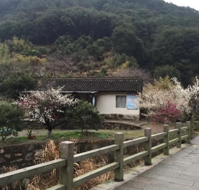 �����ŷ�ɽ