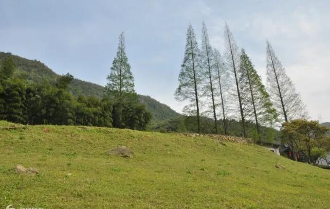 �߼��þ���