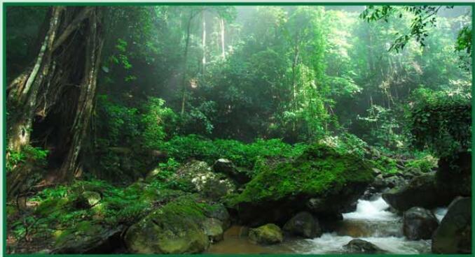 西双版纳勐远仙境