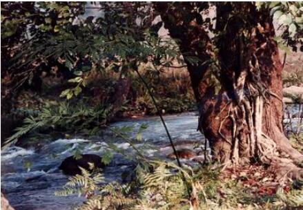 ��Ӹ�����ˮ���ȴ��������ζȼ���