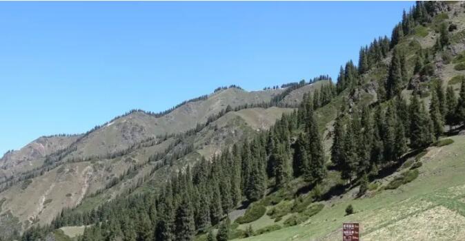 ��ɽ��Ͽ��