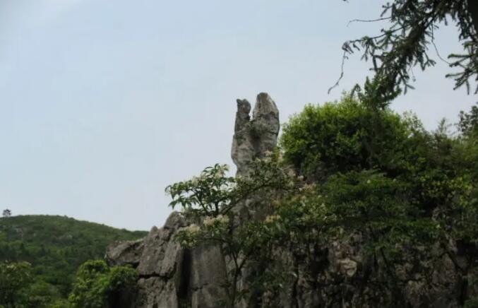 ����ɽ������