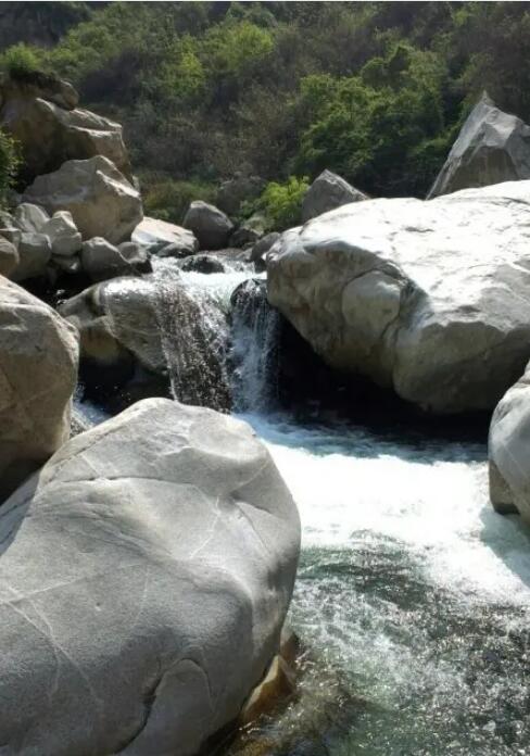 ����Ͽ��Ư������