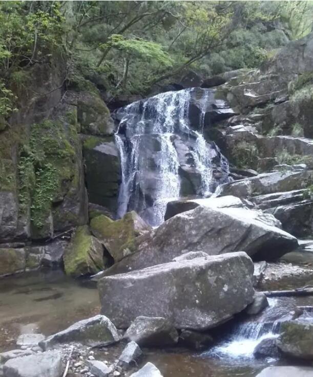 ľ������ɭ�ֹ�԰