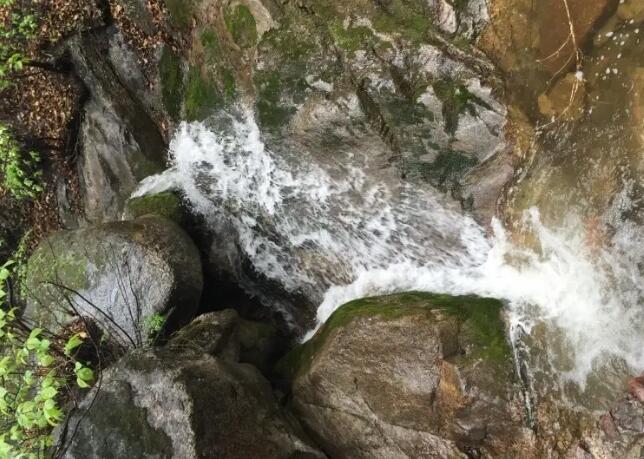 ���´�Ͽ�Ⱦ���