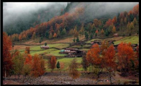 ������ɽ����ɭ�ֹ�԰