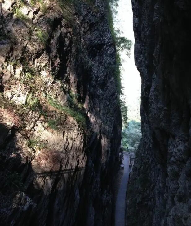 �żҽ��Ͽ��