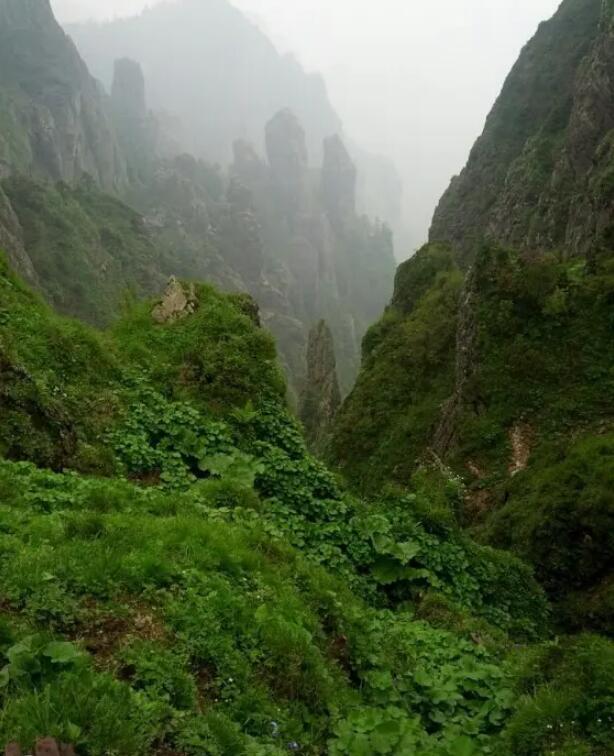 ��ũ�ȹ���ɭ�ֹ�԰