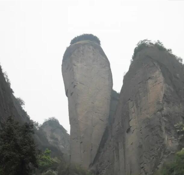 ����ݹɽ������