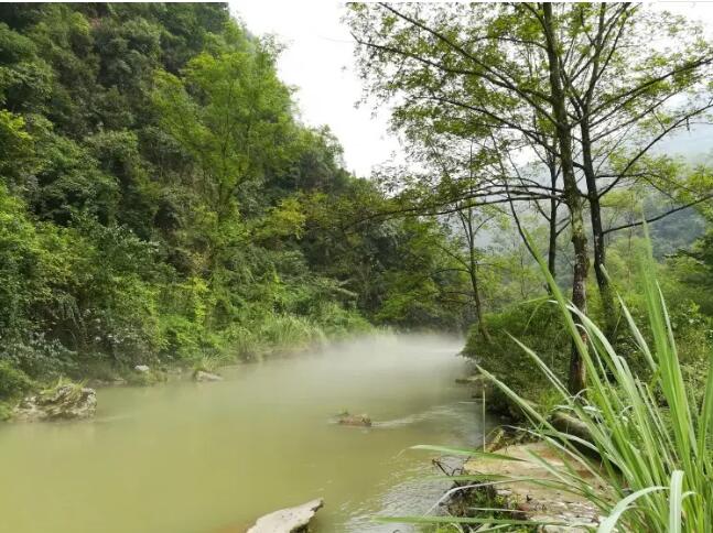 宜昌长阳兰草谷