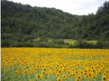 ���Ӵ�Ͽ��